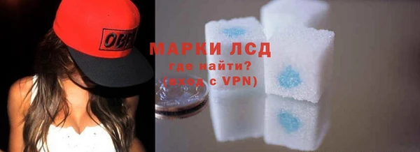 спайс Аркадак
