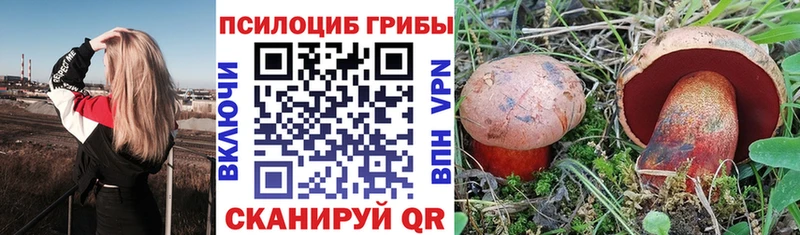 где купить   Павлово  Галлюциногенные грибы Cubensis 