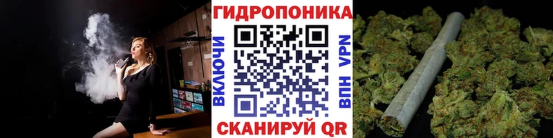 где купить наркоту  Павлово  Конопля семена 